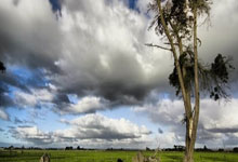 Kaiyun-JackeyLove在MAD比赛中战术调整，突破纪录引发热议！的简单介绍